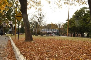 Guillermo Di Salvatore D.R