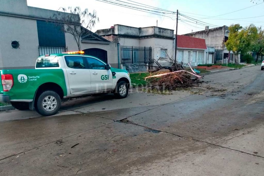 ELLITORAL_453173 |  Gentileza D.R