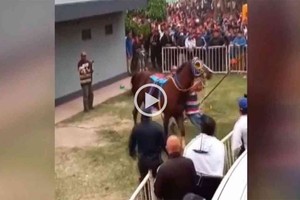 Captura de video D.R