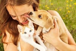 Día del Animal en Argentina: cómo cuidar a tu mascota, para mantenerla sana y feliz