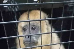 ELLITORAL_454441 |  Gentileza D.R