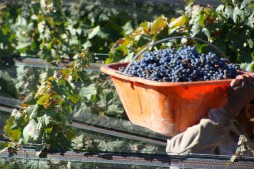 ELLITORAL_452390 |  Gentileza D.R