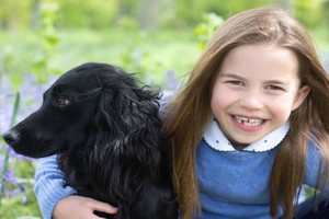 IG Duques de Cambridge D.R