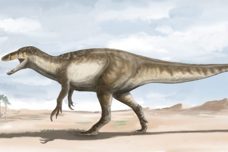 El dinosaurio megaraptor más grande habitó la Argentina - El Litoral