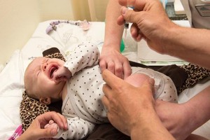 ELLITORAL_454262 |  DPA D.R