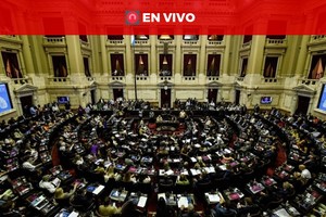 Gentileza Diputados. D.R