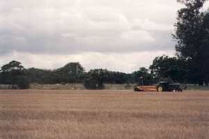 ELLITORAL_452388 |  Archivo El Litoral Leopoldo teme sufrir represalias.  Yo ando por el campo. Voy recorriendo, controlando y arreglando cosas. Cualquiera puede meterse y hacerme daño , dijo.