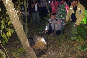 ELLITORAL_452790 |  Gentileza D.R