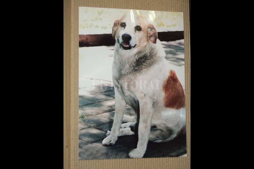 ELLITORAL_453643 |  Gentileza Vanina Milanesio D.R