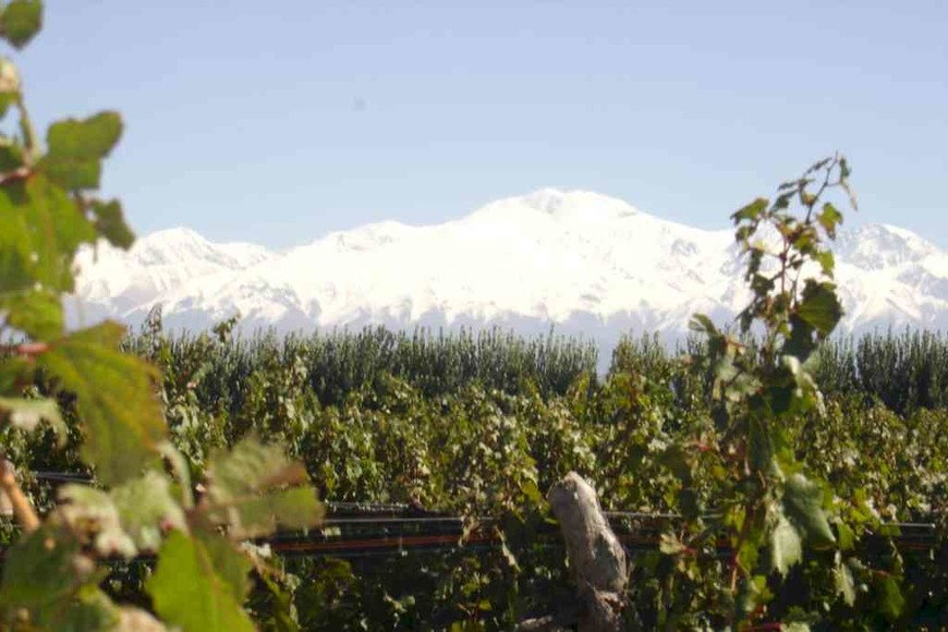 ELLITORAL_452392 |  Gentileza D.R