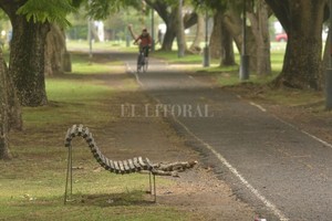 ELLITORAL_452843 |  Mauricio Garín D.R
