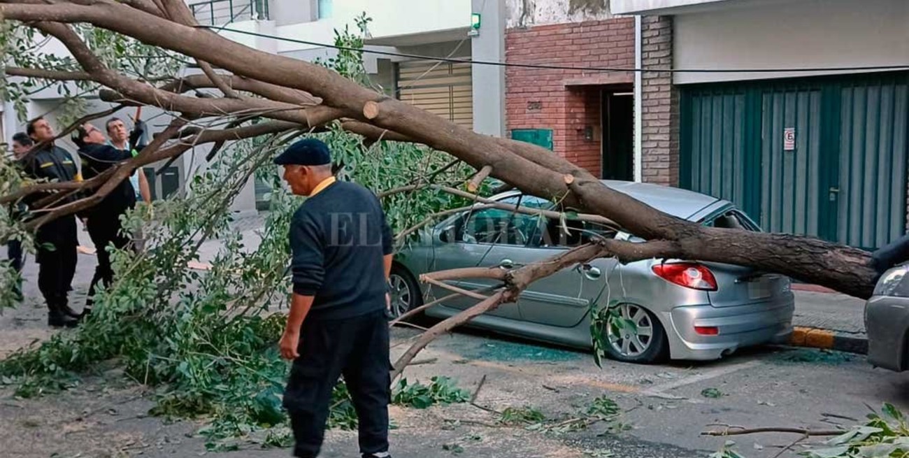 En imágenes: árboles y calles cortadas, las consecuencia de la tormenta en Santa Fe