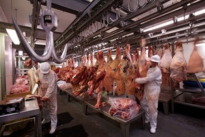 ELLITORAL_452951 |  Gentileza D.R