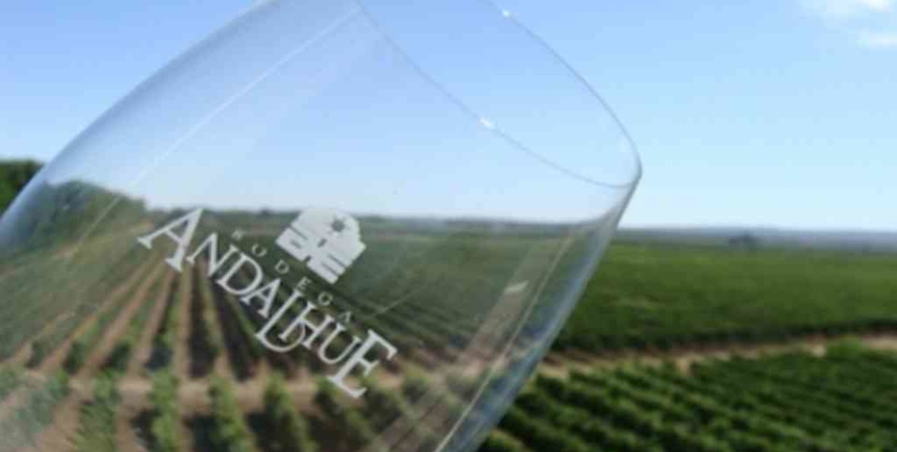 El orgullo de don José Blanco:  vinos orgánicos Bodega Andalhue