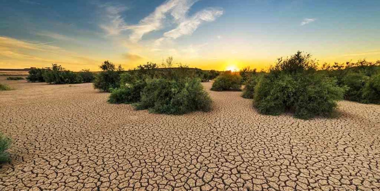 La ONU alertó sobre la degradación del suelo: el 40% de la superficie terrestre ya se encuentra dañada