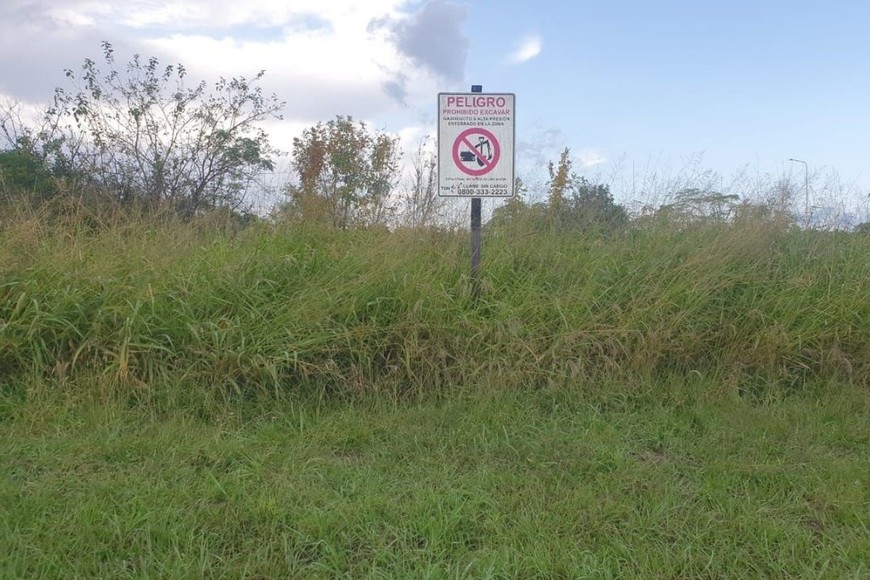 ELLITORAL_452949 |  Gentileza Otra de las tareas que reclaman los vecinos es el desmalezamiento de la zona, así como una solución integral a todo el corredor del DUE 23 de Santo Tomé.