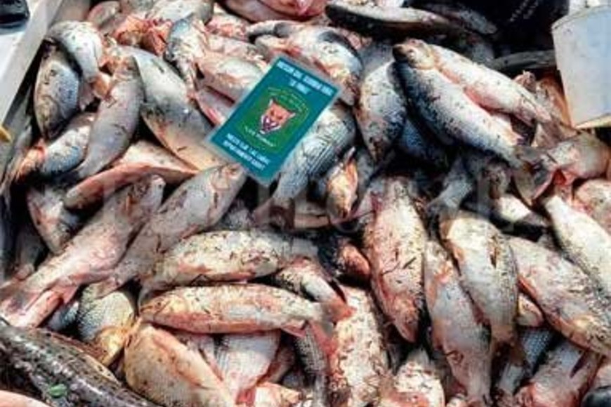 ELLITORAL_455474 |  Gentileza Dpto Relaciones Policiales Santa Fe Cuatro pescadores fueron identificados y se les labró infracción a la ley provincial de protección ictícola.