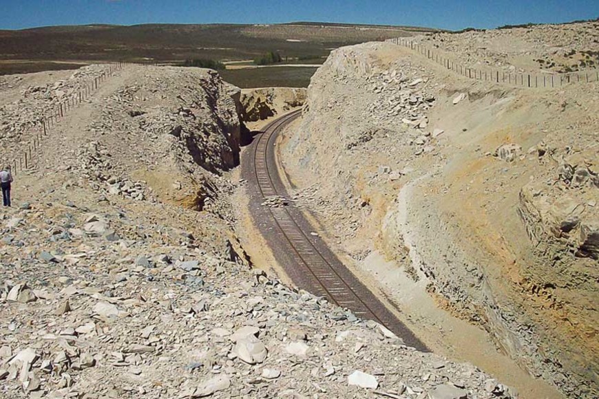 ELLITORAL_455815 |  Gentileza Conicet La Plata D.R