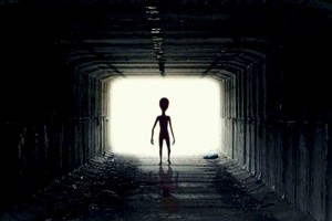 ELLITORAL_455443 |  Imagen Ilustrativa D.R