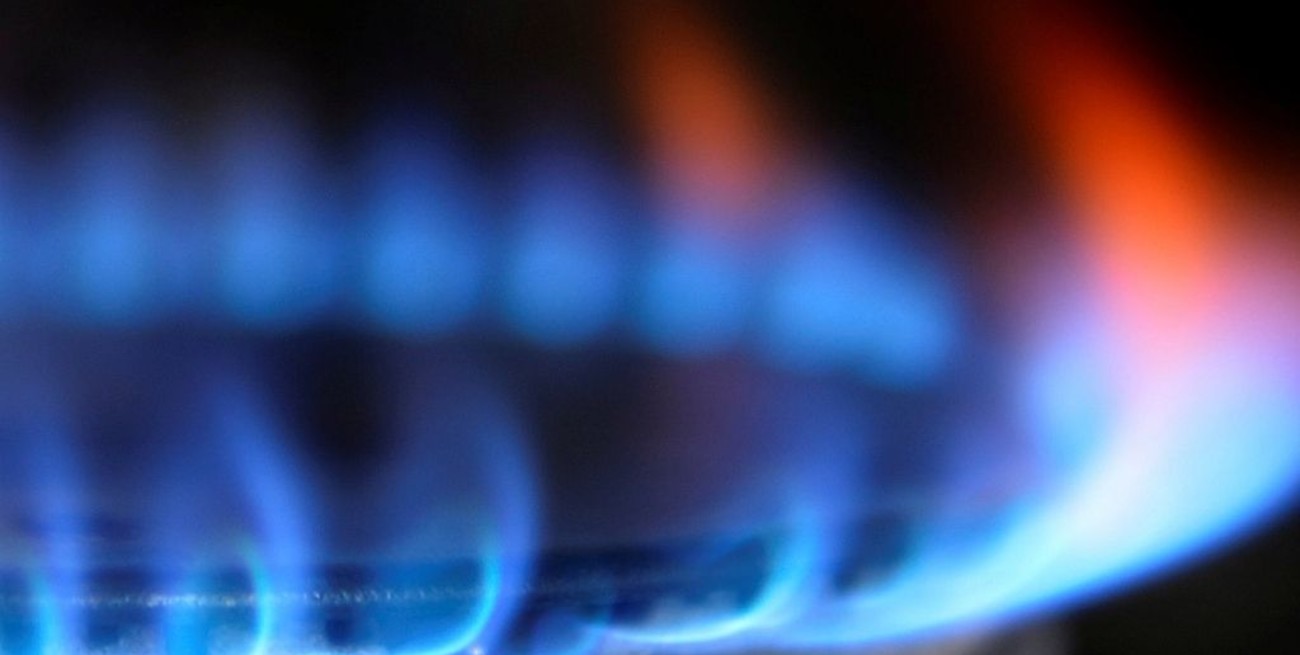 Gobierno Nacional propone un aumento del 20% en promedio en las tarifas de gas