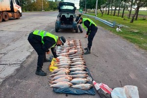 ELLITORAL_455473 |  Gentileza Dpto Relaciones Policiales Santa Fe El conductor, oriundo de Fortín Olmos, realizaba el traslado sin cadena de frio ni autorización.