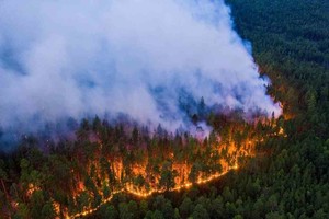 ELLITORAL_455472 |  Reuetrs Estos últimos años, varios incendios sin precedentes afectaron regiones de Siberia, Rusia.