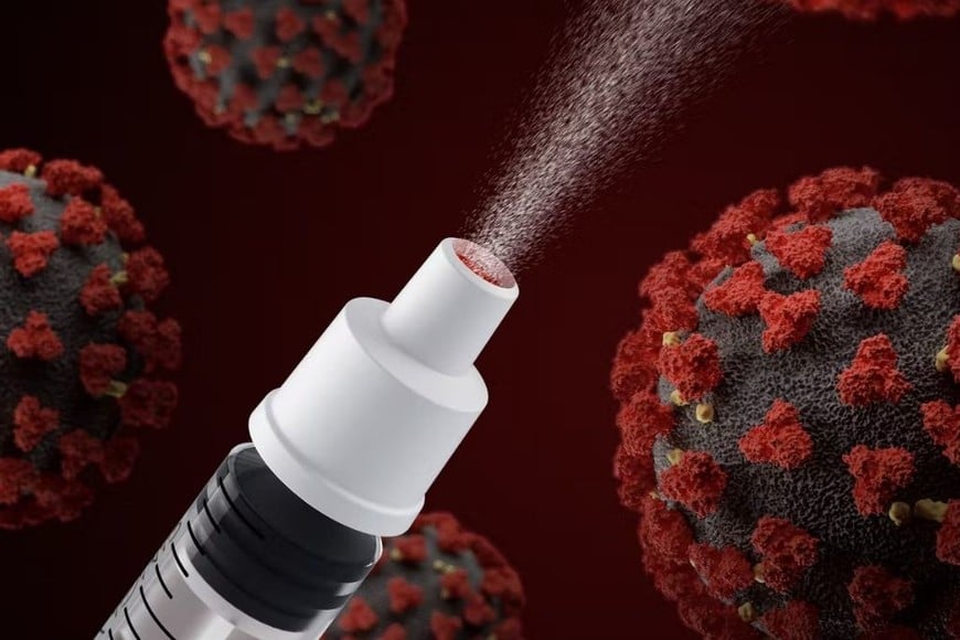 ELLITORAL_456221 |  Gentileza D.R