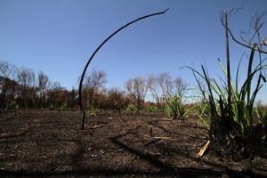 Archivo El Litoral / Mauricio Garín D.R