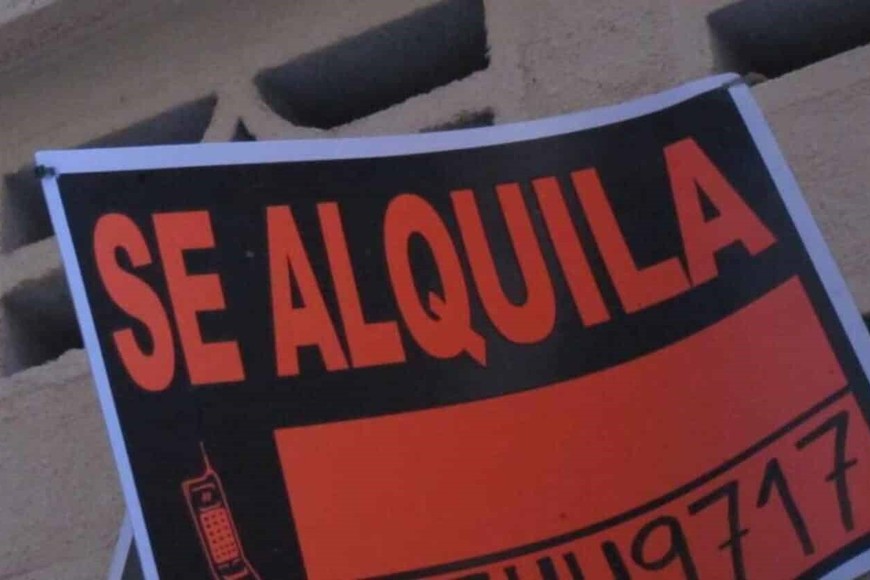 alquila alquiler alquileres