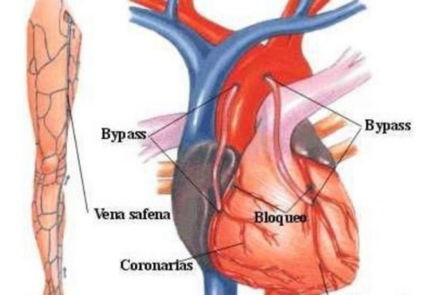 ELLITORAL_455731 |  Gentileza D.R