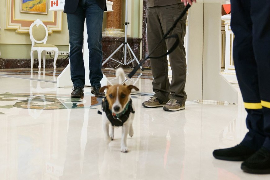 ELLITORAL_455785 | Reuters. D.R