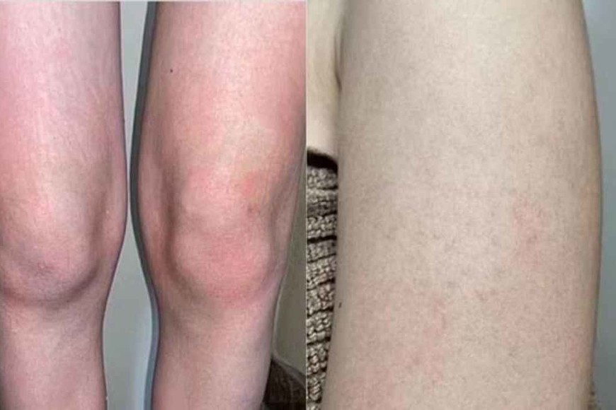 ELLITORAL_456535 |  Gentileza D.R