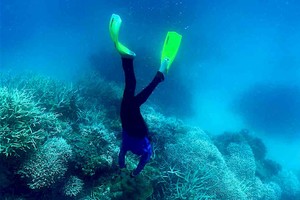 ELLITORAL_456251 |  Télam D.R