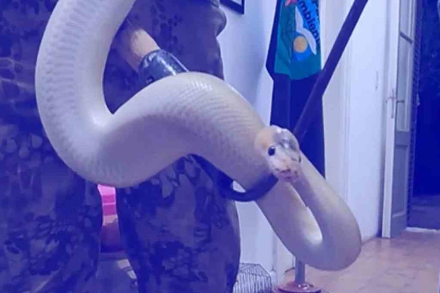 ELLITORAL_456478 |  Gentileza D.R