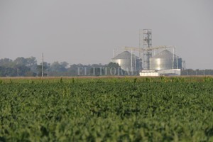 Archivo El Litoral D.R