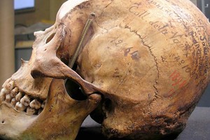 ELLITORAL_456826 |  Gentileza Los restos de Sakamata fueron apropiados por el francés Henry de La Vaulx.