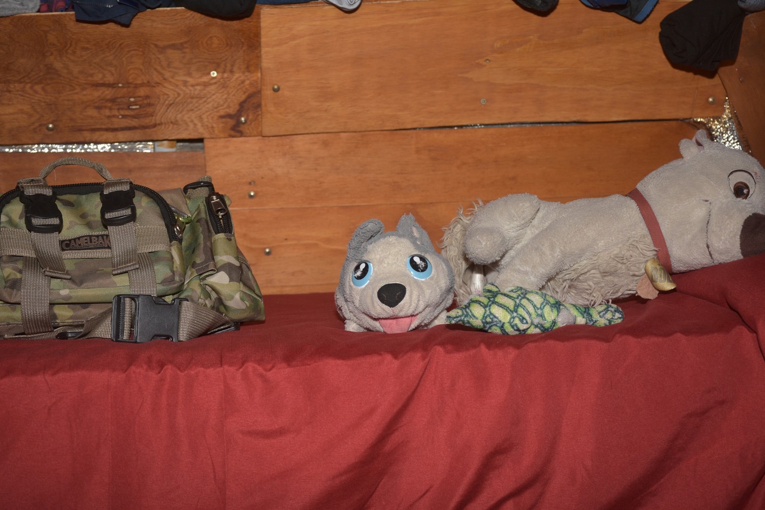 Vive la vida hoy destino Alaska