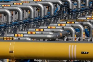 Imagen Ilustrativa. Foto: Picture Alliance