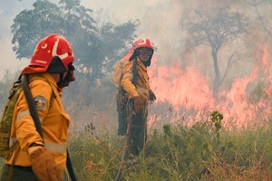 En 2021 los incendios forestales devastaron alrededor de 70.000 hectáreas.