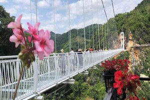 Está realizado en paneles de vidrio transparente.