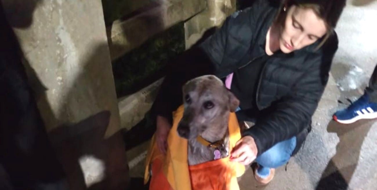 Increíble rescate de un perro que cayó desde el Puente Carretero