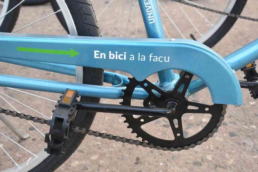 Crédito: Guillermo Di Salvatore