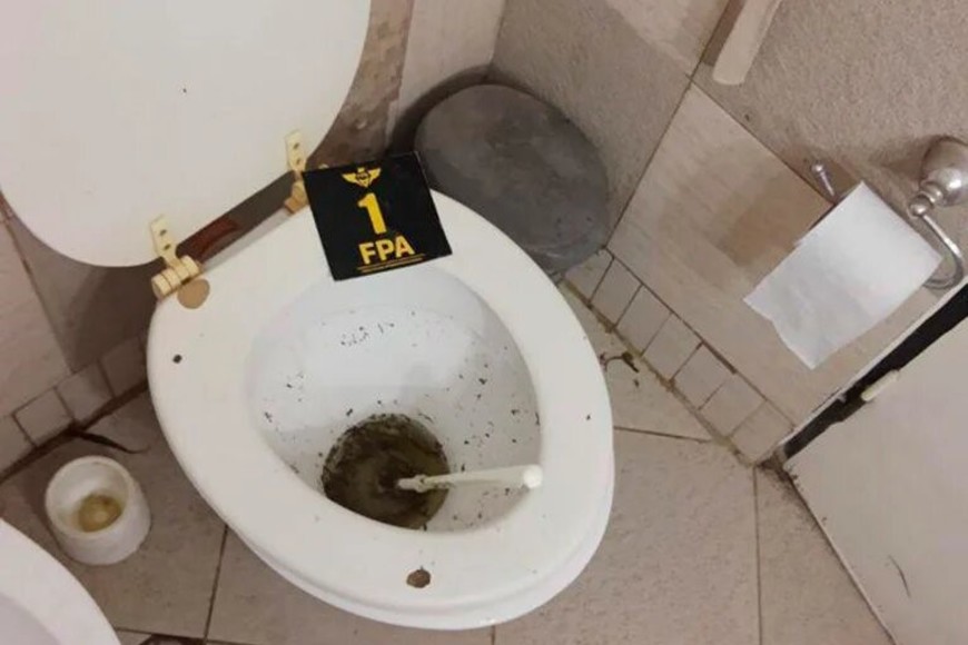 Marihuana en inodoro