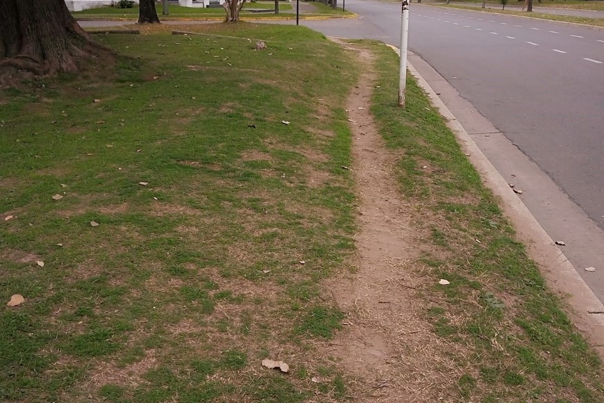 Plazoleta Rosario Vera Peñaloza