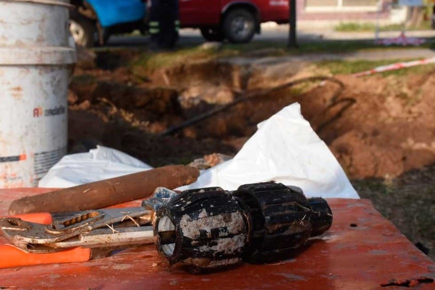 Crédito: Flavio Raina