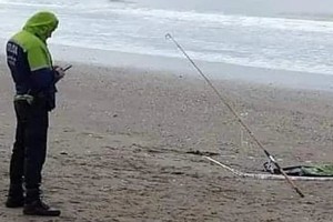 Créditos: Gentileza