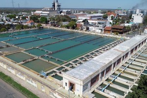 Crédito: Fernando Nicola