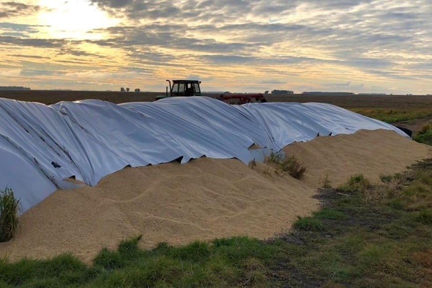 Créditos: Gentileza