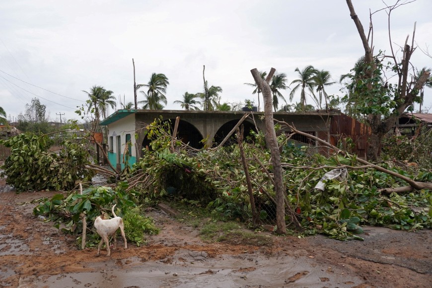 Tree branches lie on the floor near a house in the aftermath of Hurricane Agatha, in San Isidro del Palmar, Oaxaca state, Mexico, May 31, 2022. REUTERS/Jose de Jesus Cortes