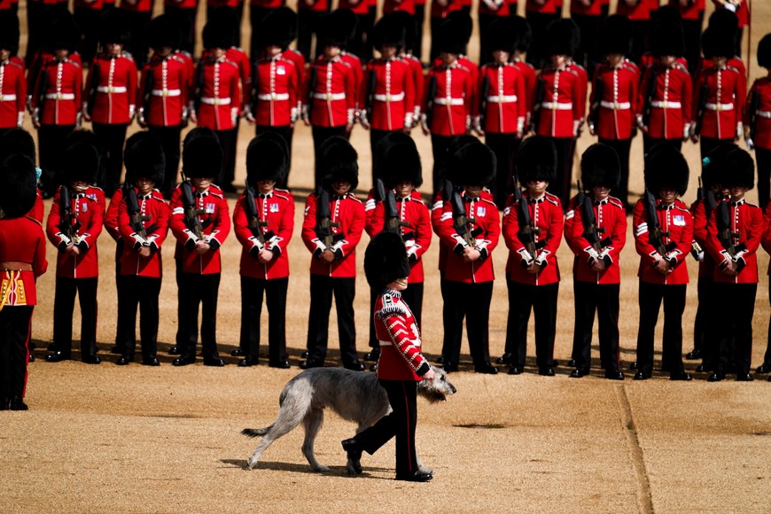 An Irish wolfhound leads as guards take part in the Trooping the Colour ceremony at Horse Guards Parade, as a part of the Queen's Platinum Jubilee celebrations, in London, Britain June 2, 2022. Matt Dunham/Pool via REUTERS